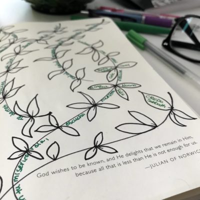 A drawing of vines and leaves with text written along the vines.
