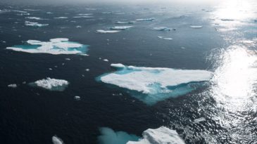 small ice burgs floating in the ocean