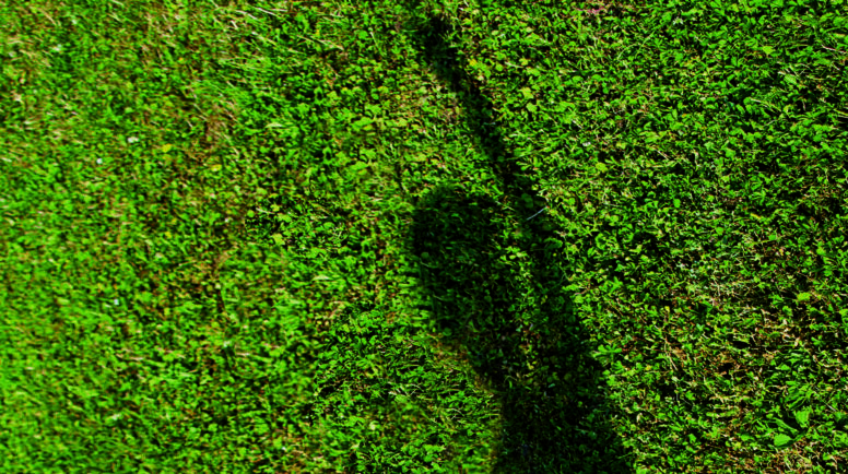 the shadow of a child in the green short grass which stretches an arm of joy and joy into the air