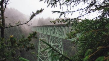 A green steel bridge crossing a ravine in a forest