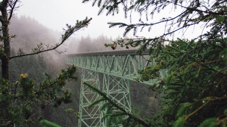 A green steel bridge crossing a ravine in a forest