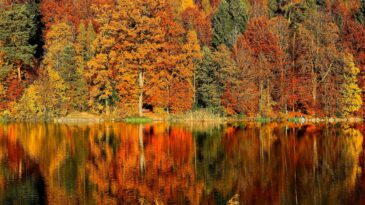 Fall trees with leaves of red, orange and yellow are reflecting in a still body of water. Thanksgiving prayer