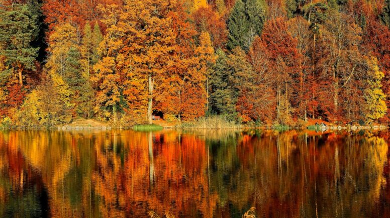 Fall trees with leaves of red, orange and yellow are reflecting in a still body of water. Thanksgiving prayer