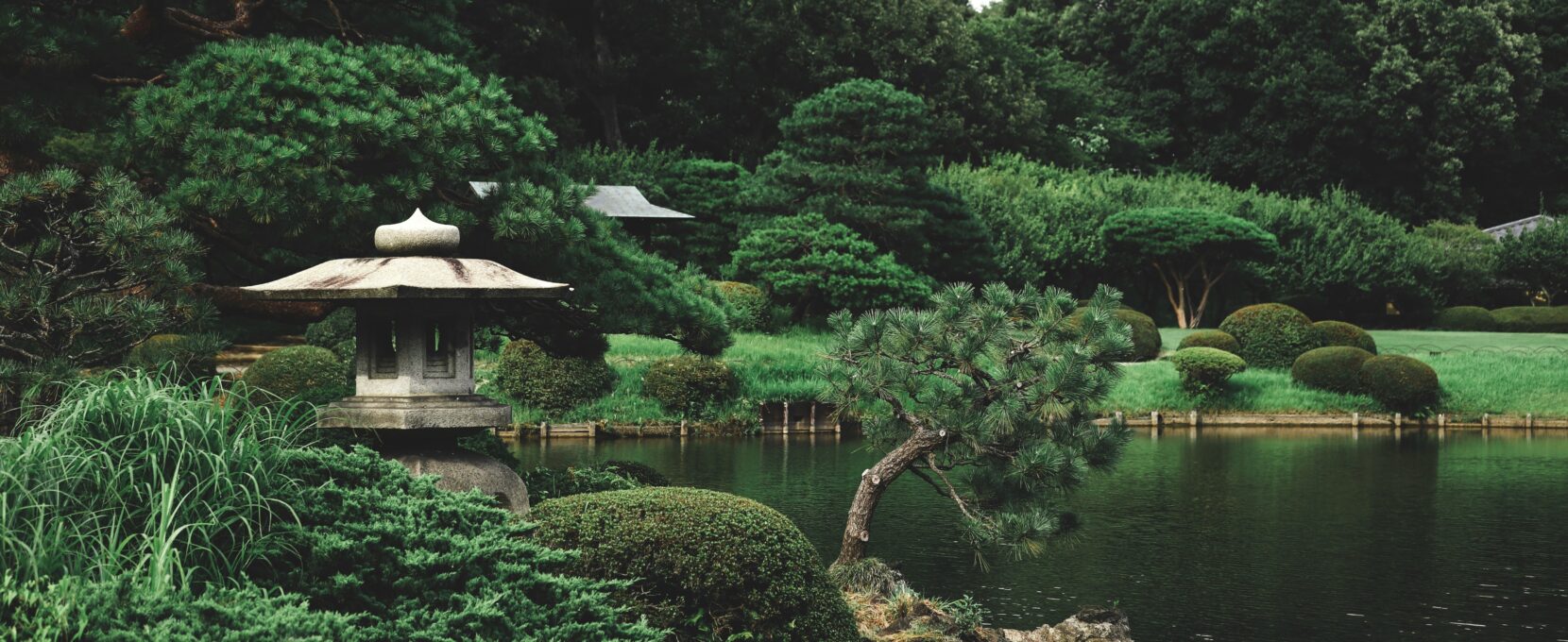 A garden in Japan