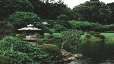A garden in Japan