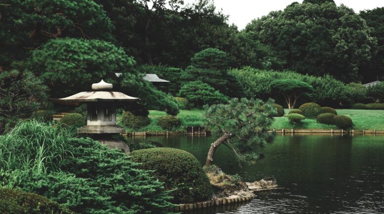 A garden in Japan