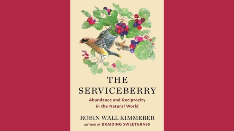 The Serviceberry: Abundance and Reciprocity in the Natural World by Robin Wall Kimmerer