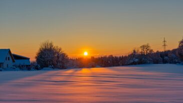 Trees on snow covered field during sunset. Shortest day of the year prayer.