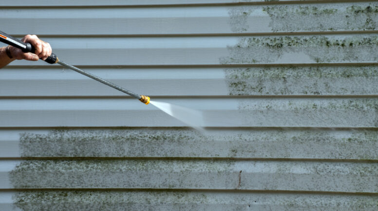 Cleaning the mold from the vinyl siding on this exterior wall is a job for the handyman or the professional.