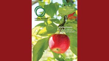 March 2025: Staying curious