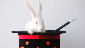 Rabbit On Magicians Hat With Magicians Wand