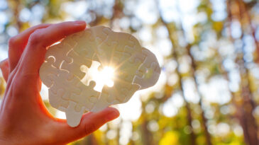 Hand holding a puzzle piece shaped like a brain, sunlight shining through in a forest setting.