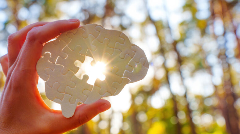 Hand holding a puzzle piece shaped like a brain, sunlight shining through in a forest setting.