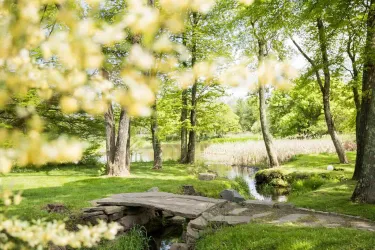 A serene walk through a wooded area. There is a small bridge that goes over a creek.