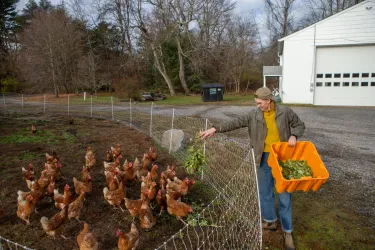 A student feeds a group of chickens at Princeton Theological Seminary's Farminary campus.