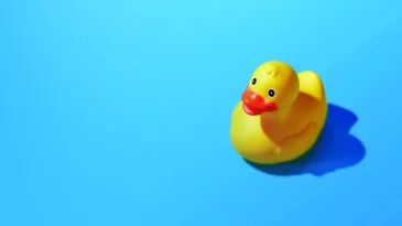 Isolated yellow rubber duck on a blue background. Copy space. High quality photo