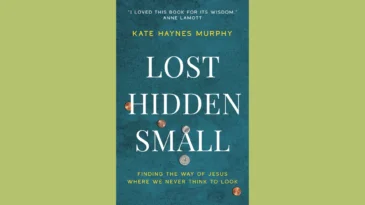 Lost Hidden Small cover