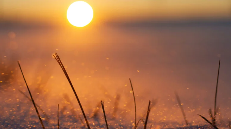 Sunrise on a snowy landscape.