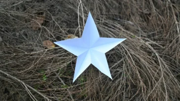 A silver star on a haystack.