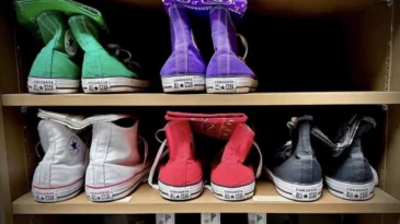 A shelf with green, purple, white, red, and black Converse.
