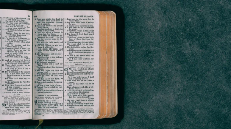 open pocket bible on green surface
