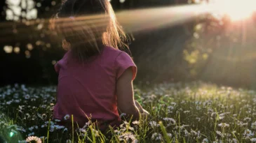 Photo of a girl sitting in a field of flowers. The sun is shining on her face.