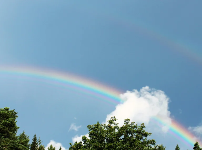 Theologians and religious leaders say the Reformed tradition speaks against transactional concepts of covenant