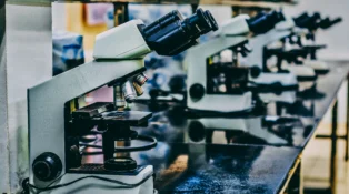 a bunch of microscopes