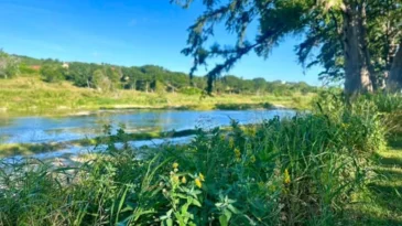 The Guadalupe River