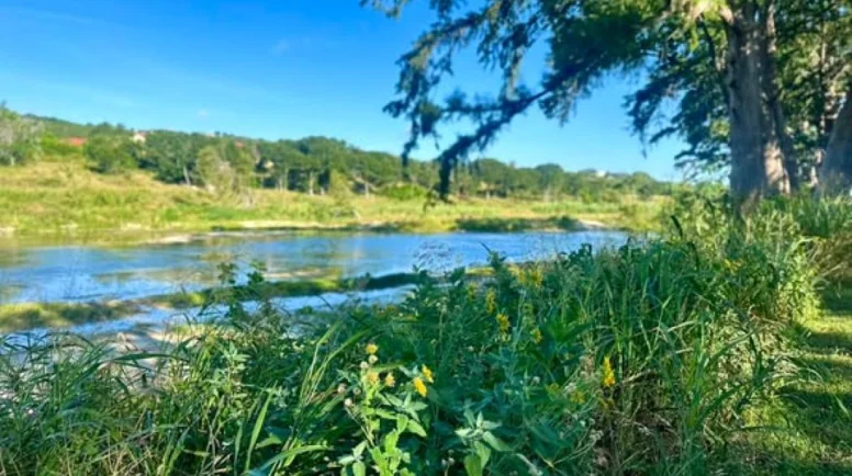 The Guadalupe River