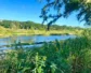 The Guadalupe River