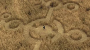 Shot from above, unique symbols are ct into a field of tall, brown grass. Josh O'Connor stands in the center.