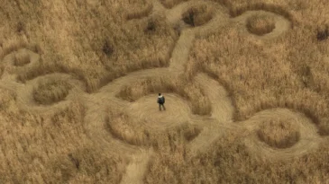 Shot from above, unique symbols are ct into a field of tall, brown grass. Josh O'Connor stands in the center.
