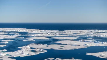 Small patches of ice in the water of the arctic ocean.
