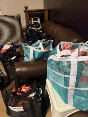 Two large bags full of activities.