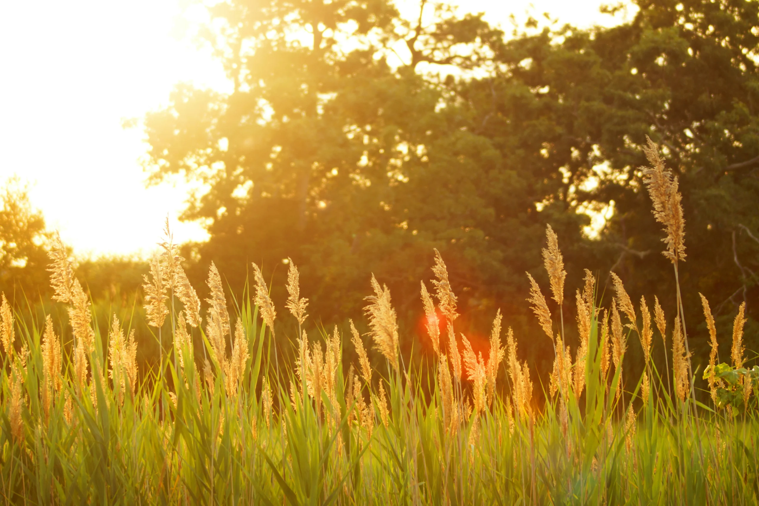 A prayer for the transition from summer to fall