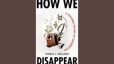 Book cover for How We Disappear