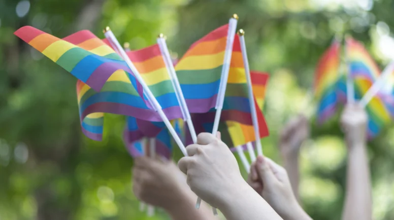 Various hands of people holding small pride flags.